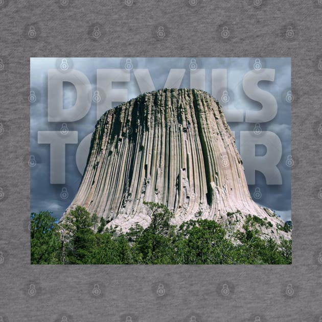 Devils Tower by Dale Preston Design